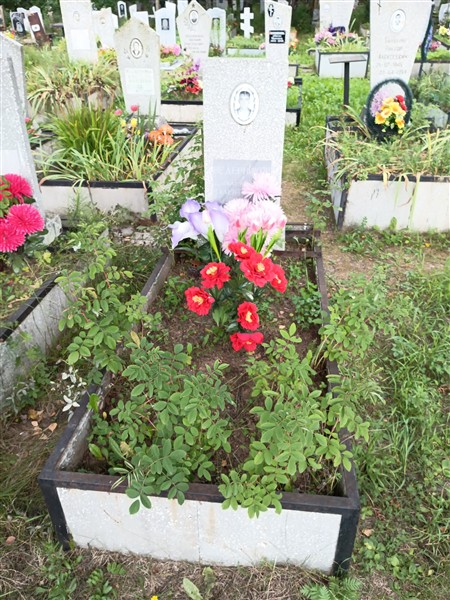 Ведерников Алексей Валентинович