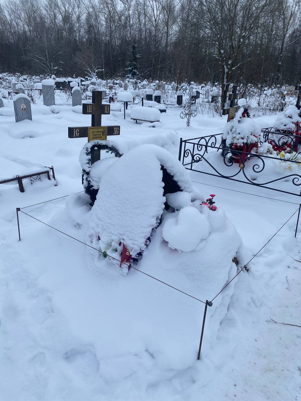 Дегтярева