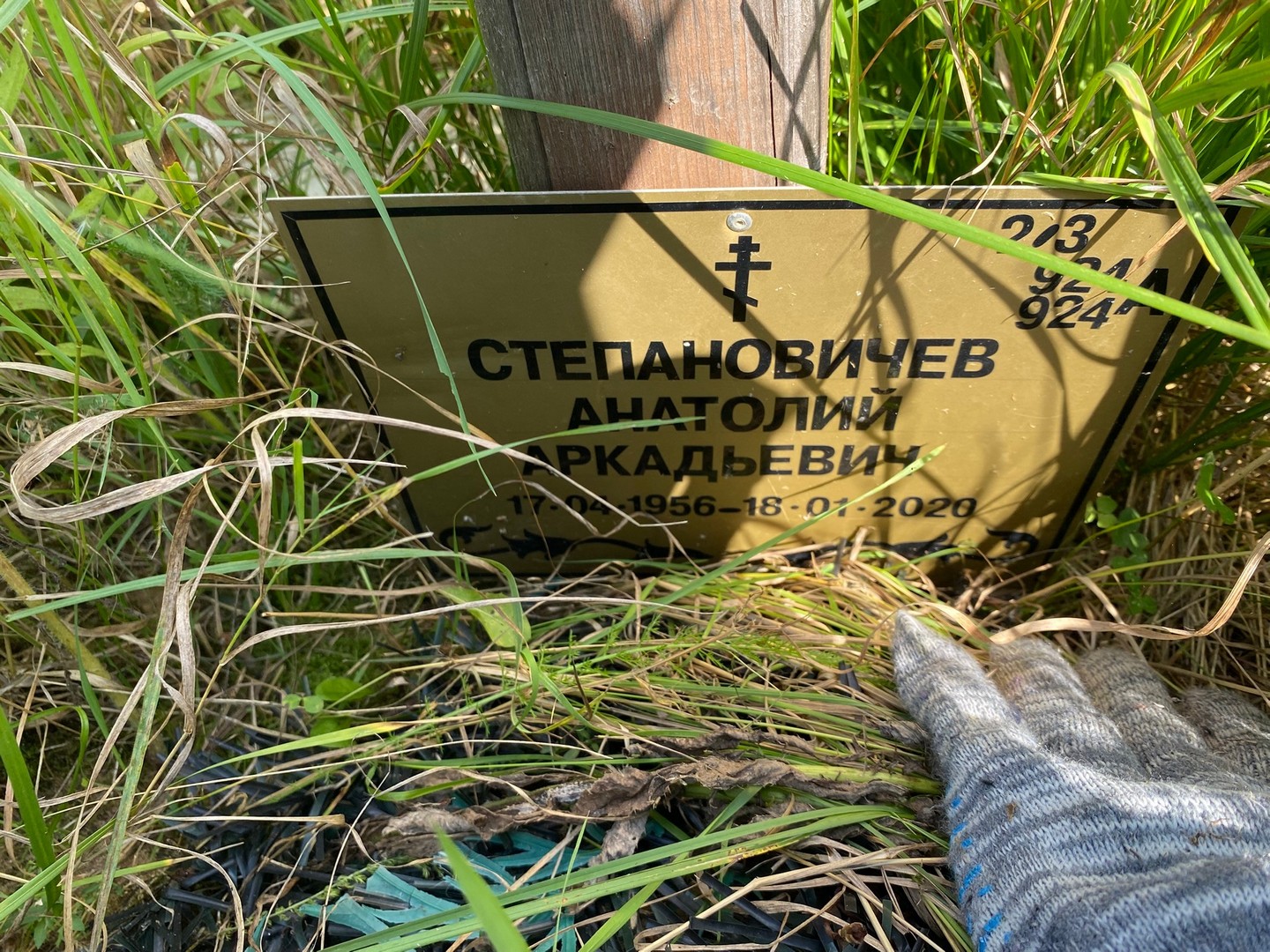 Степановичев