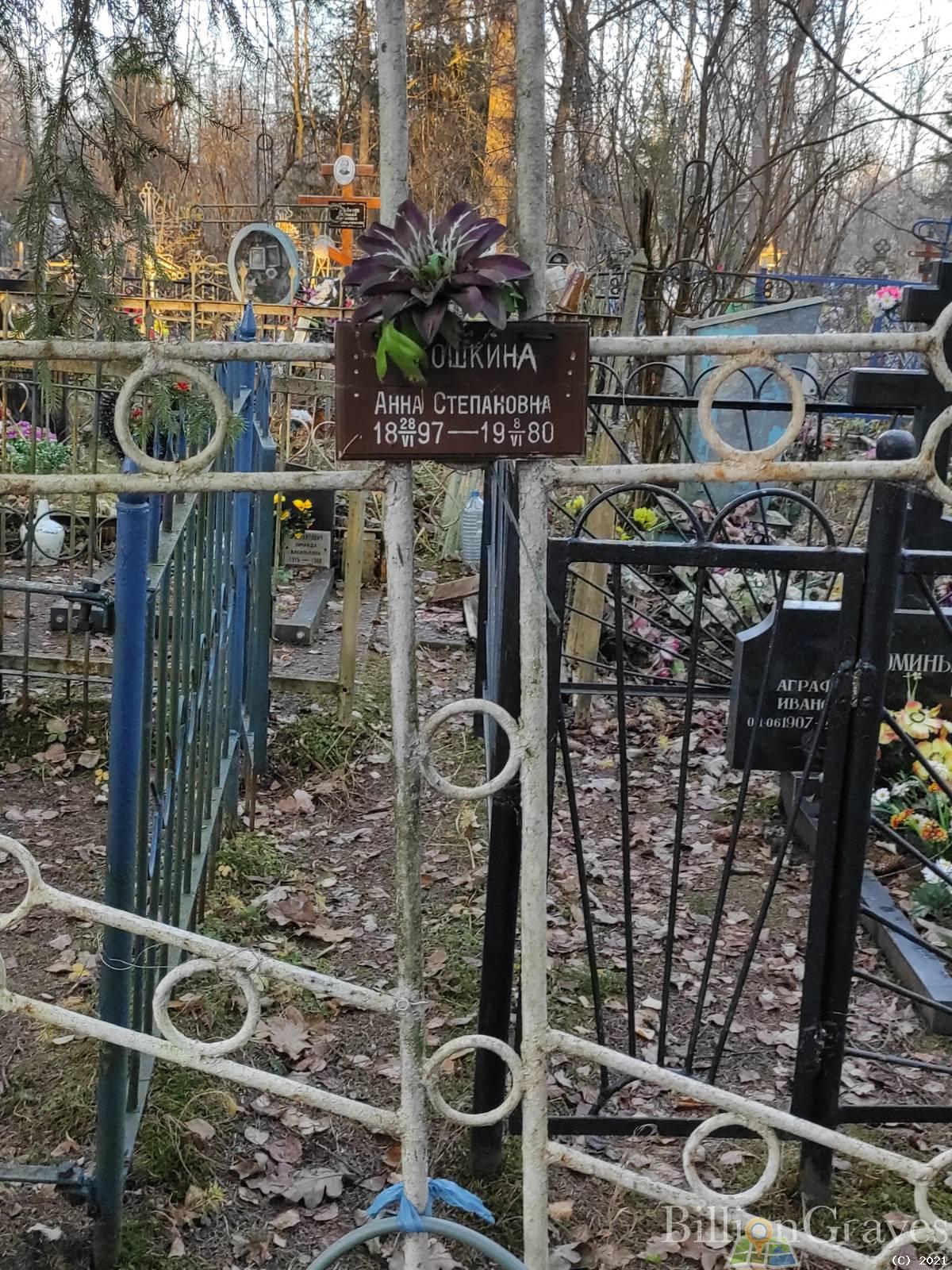 Кошкина Анна Степановна