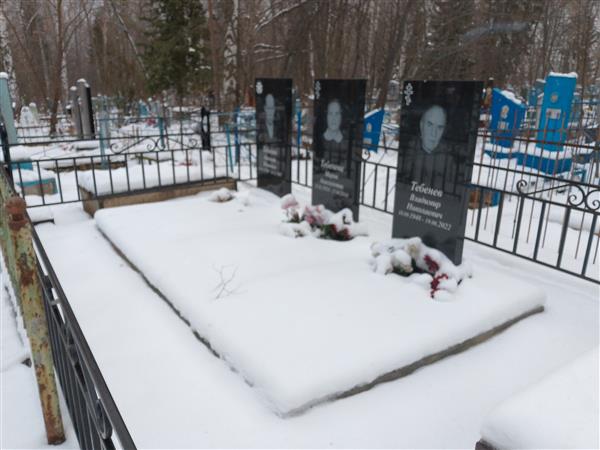 Тебенев Николай Иванович
