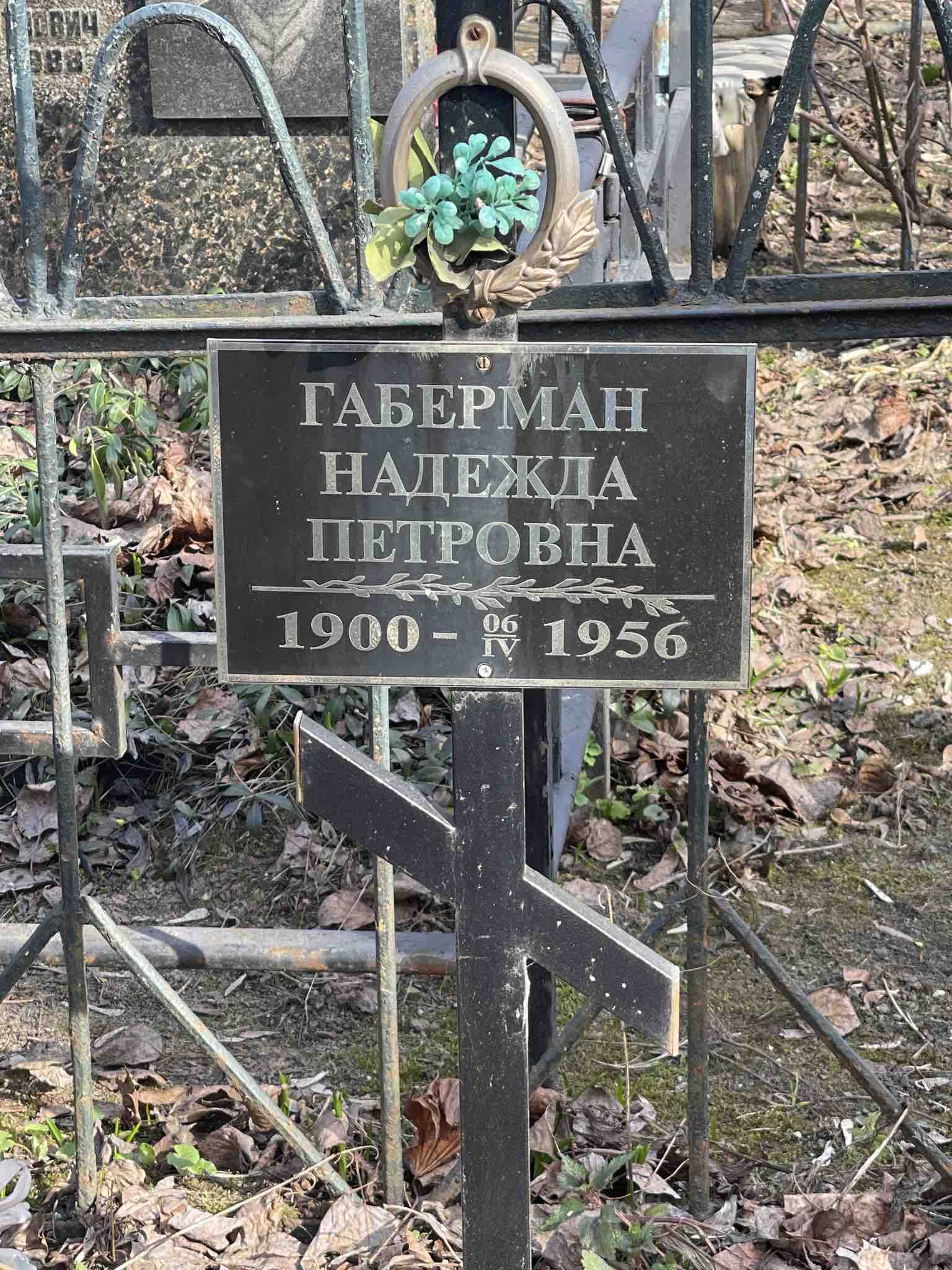 Габерман Надежда Петровна