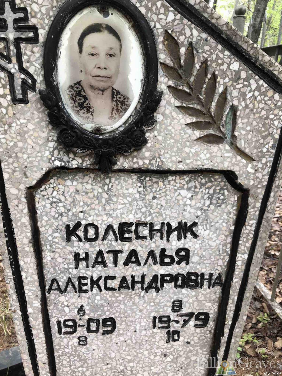 Колесник Наталья Александровна