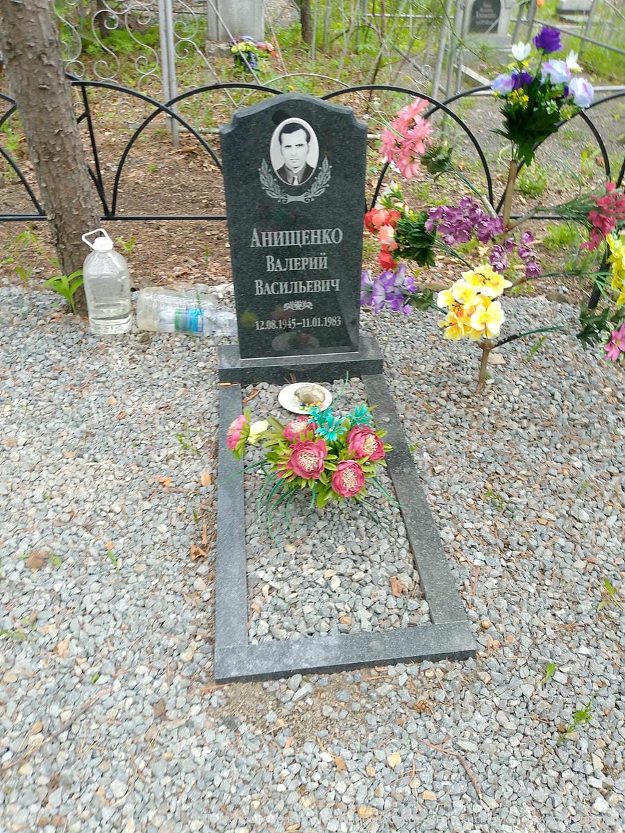 Анищенко Валерий Васильевич