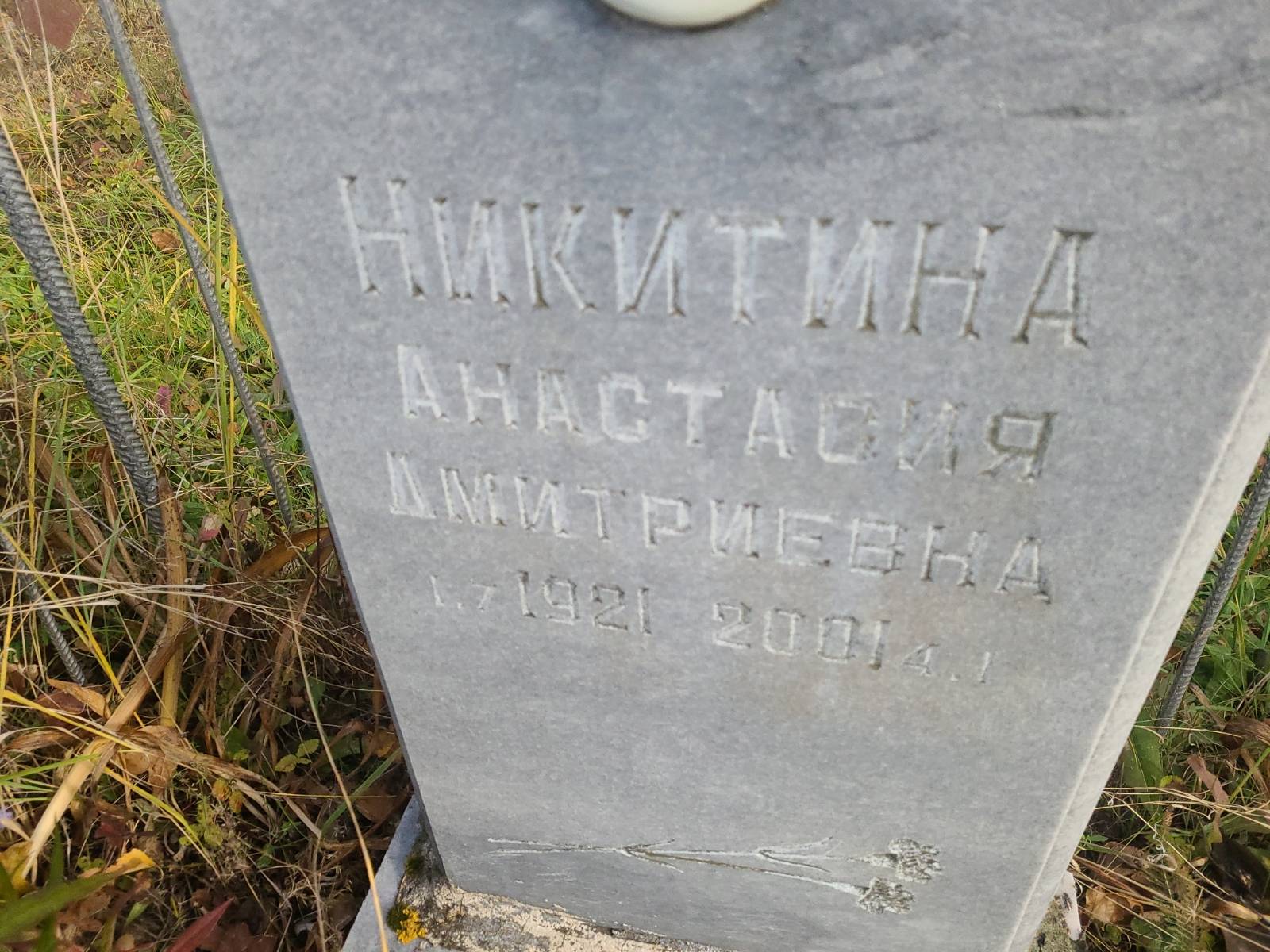 Никитина Анастасия Дмитриевна