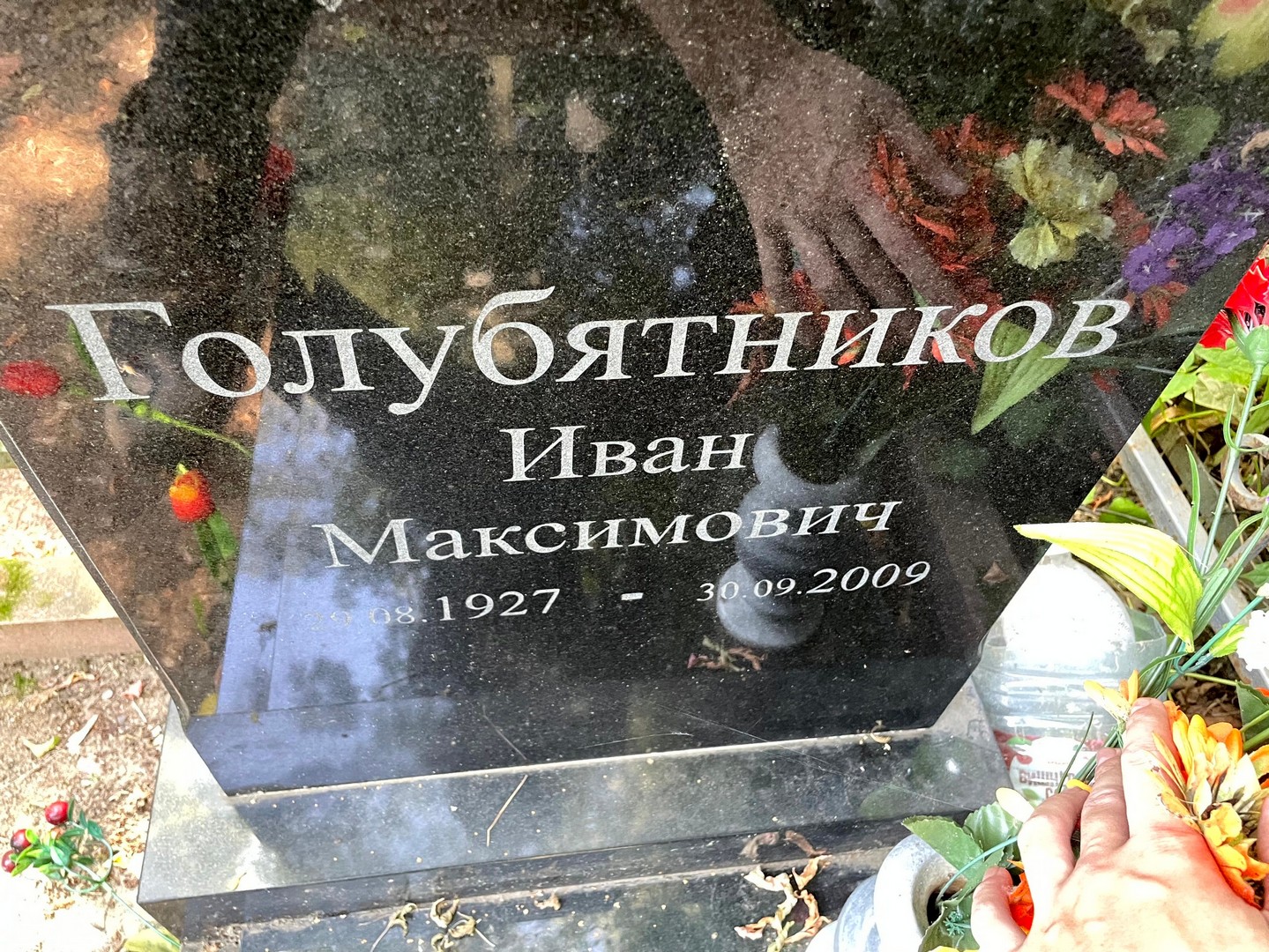 Голубятников