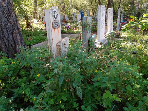 Лежнев Анатолий Николаевич