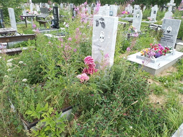 Болдина Софья Александровна
