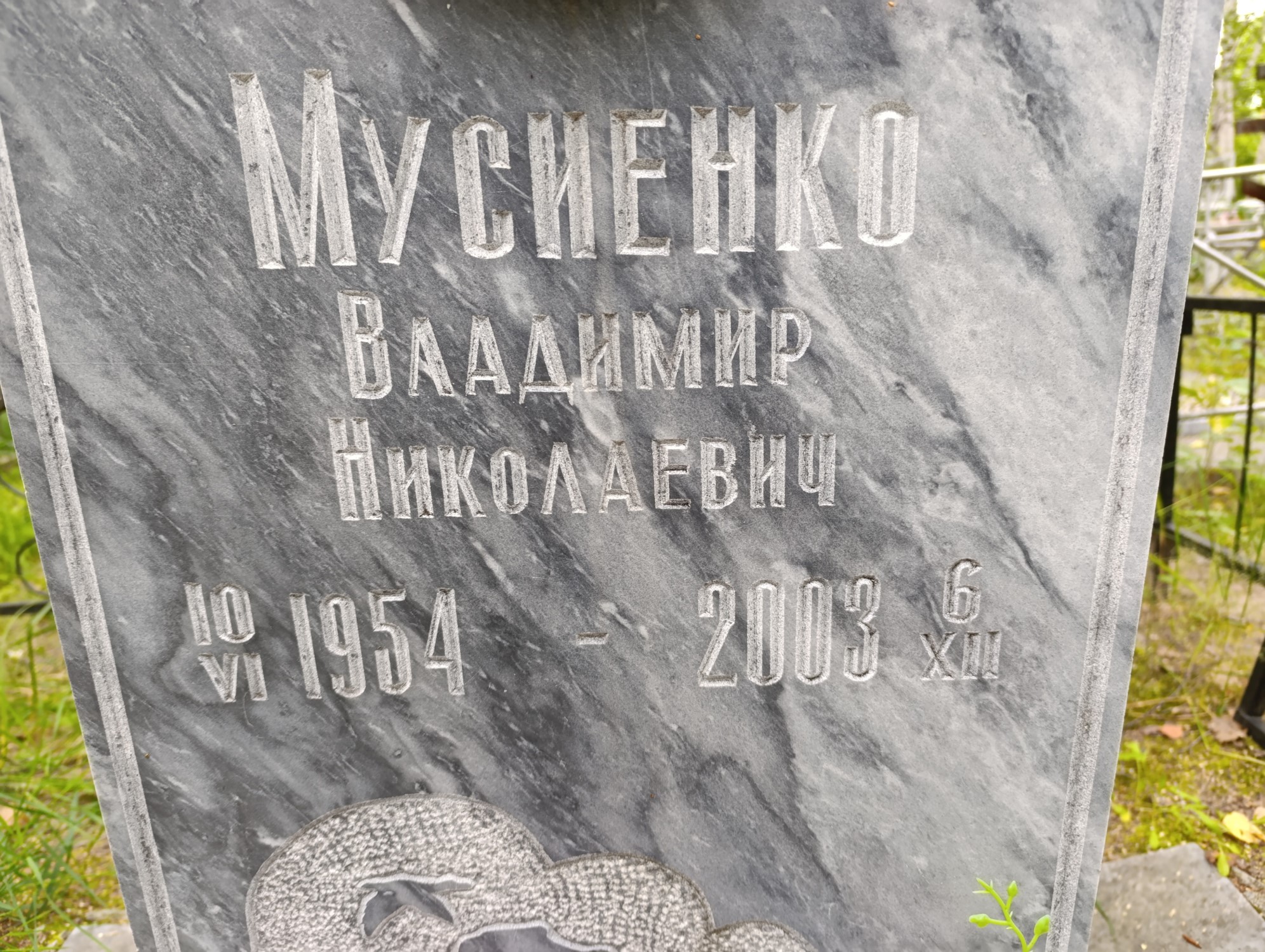 Мусиенко Владимир Николаевич