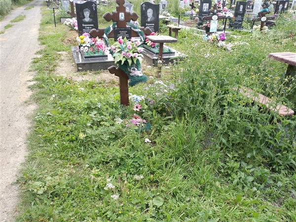 Медведев Виктор Афонасьевич