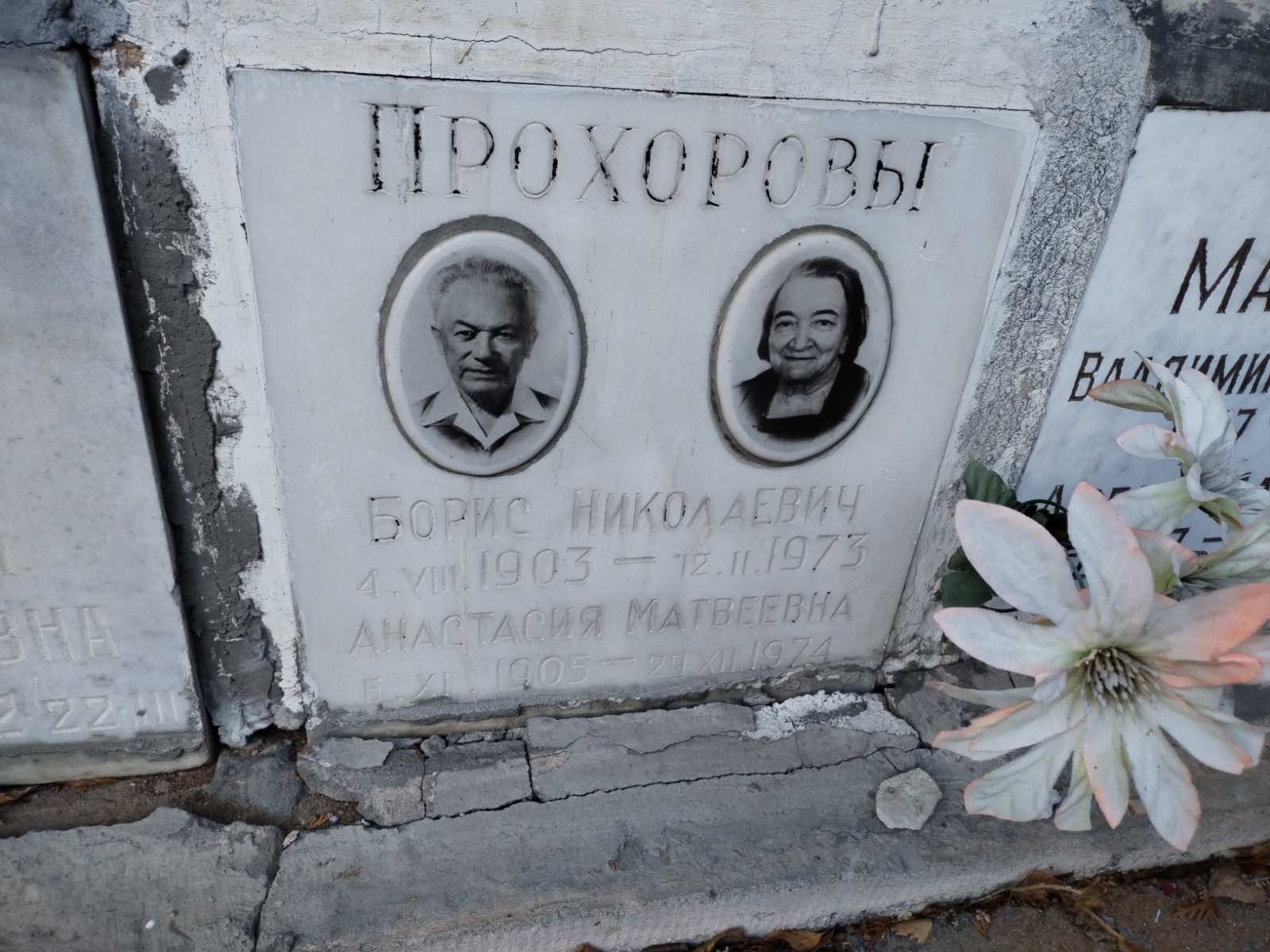 Прохорова Анастасия Матвеевна