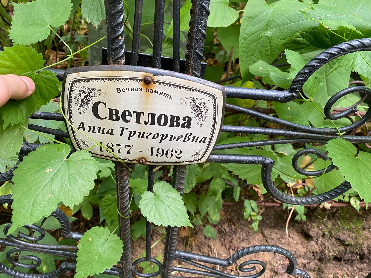 Светлова