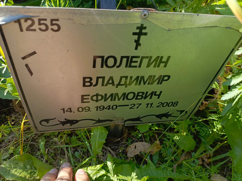 Полегин