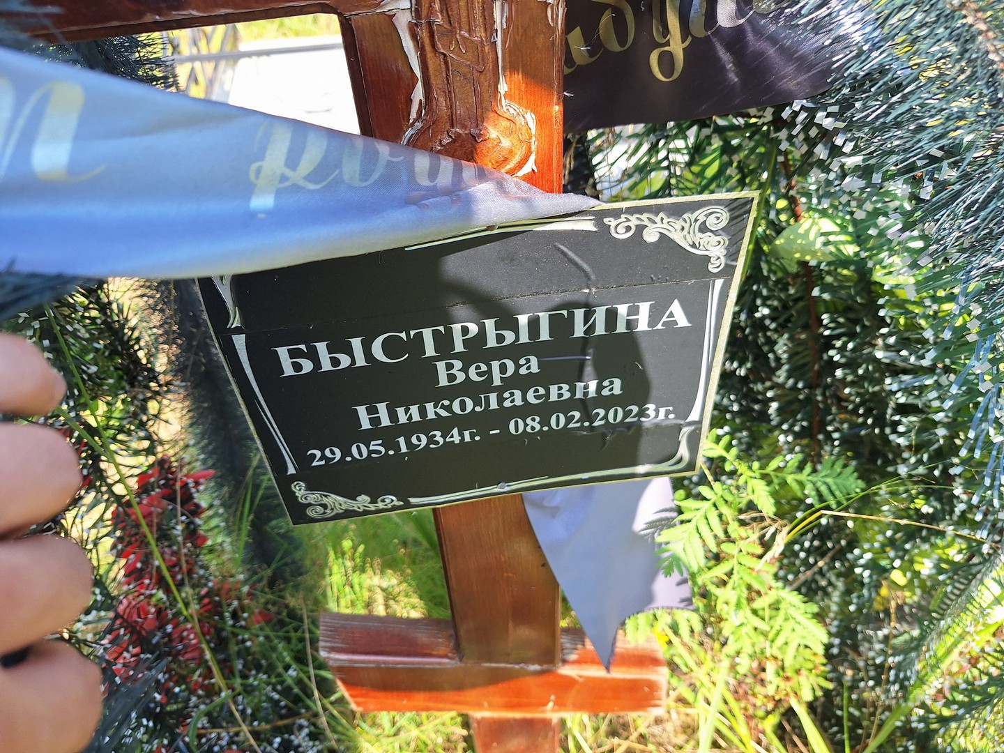 Быстрыгина