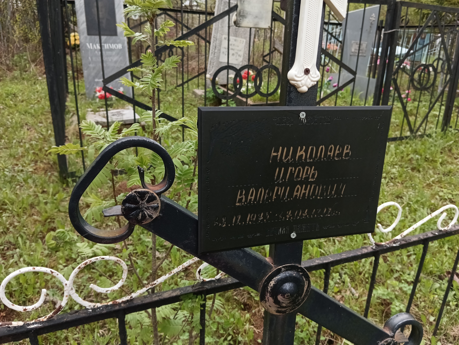 Николаев Игорь Валерианович