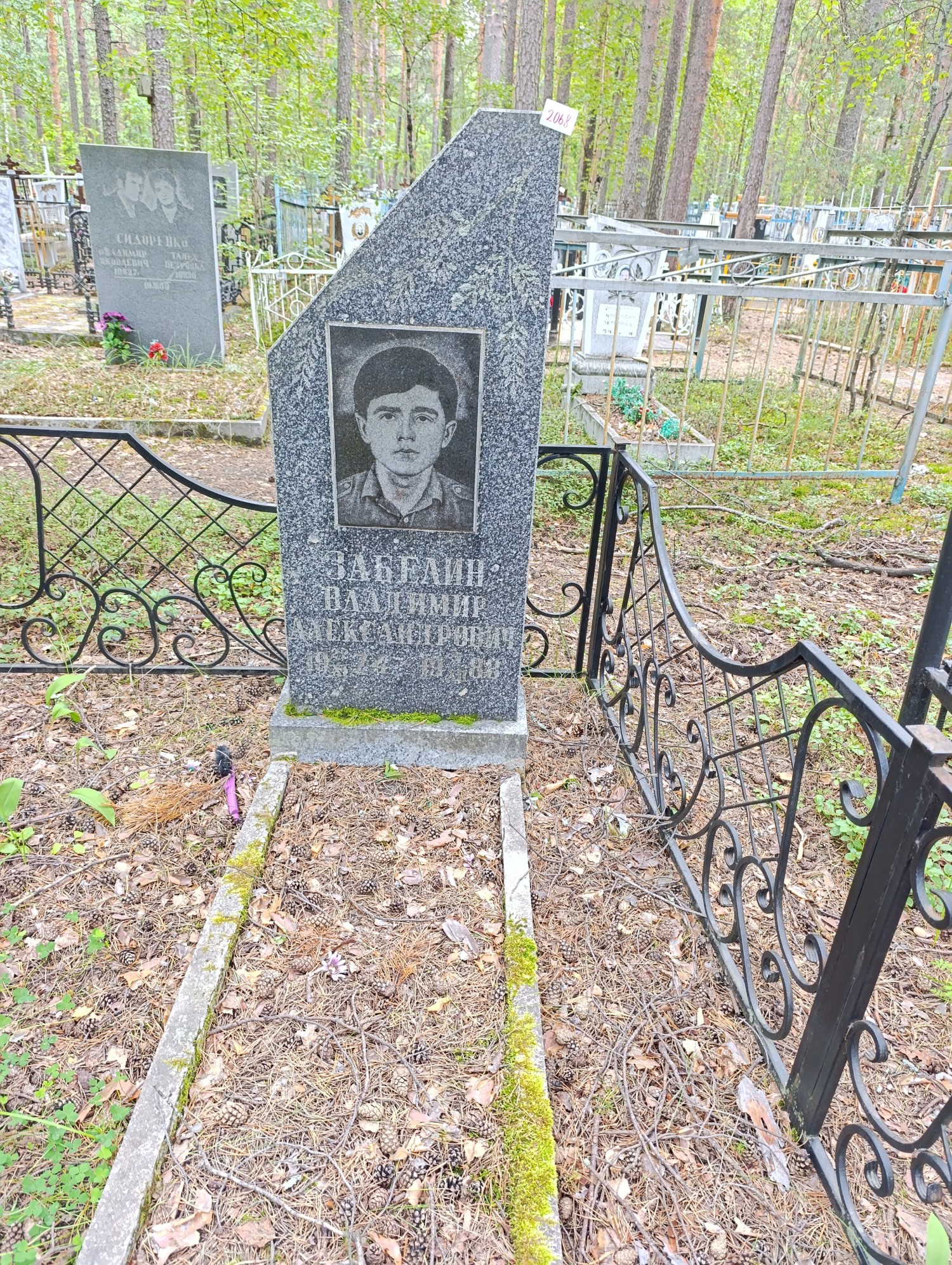 Забелин Владимир Александрович