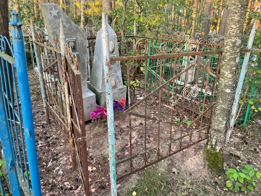 Лапин Александр Васильевич