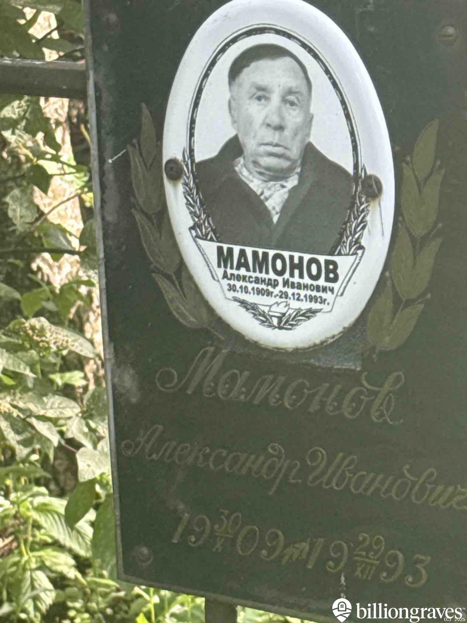 Мамонов Александр Иванович