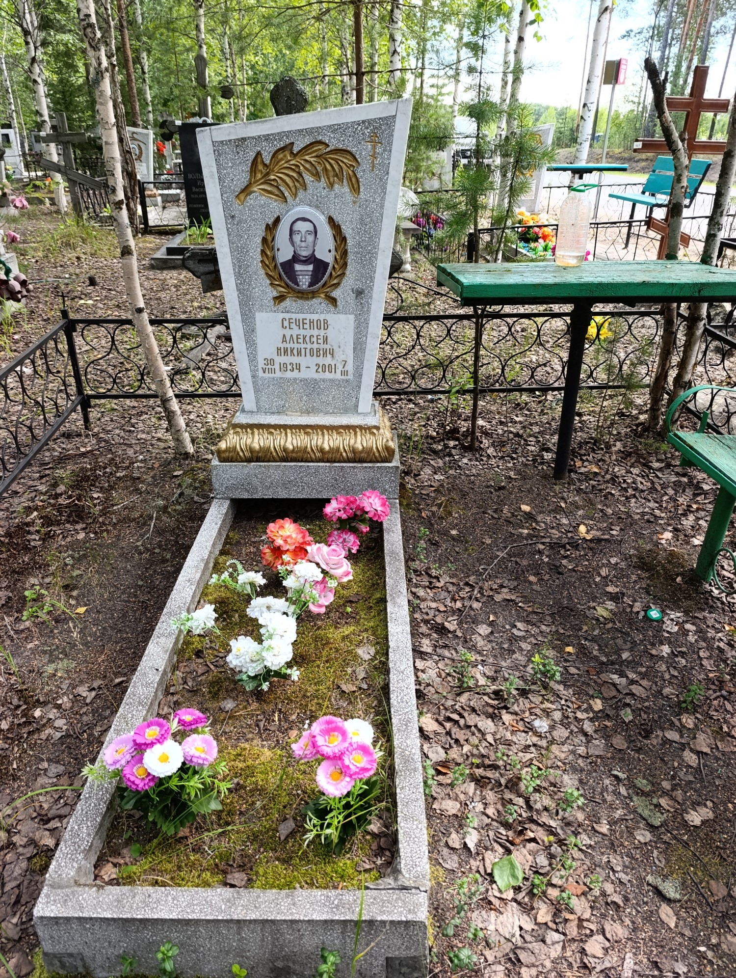 Сеченов Алексей Никитович