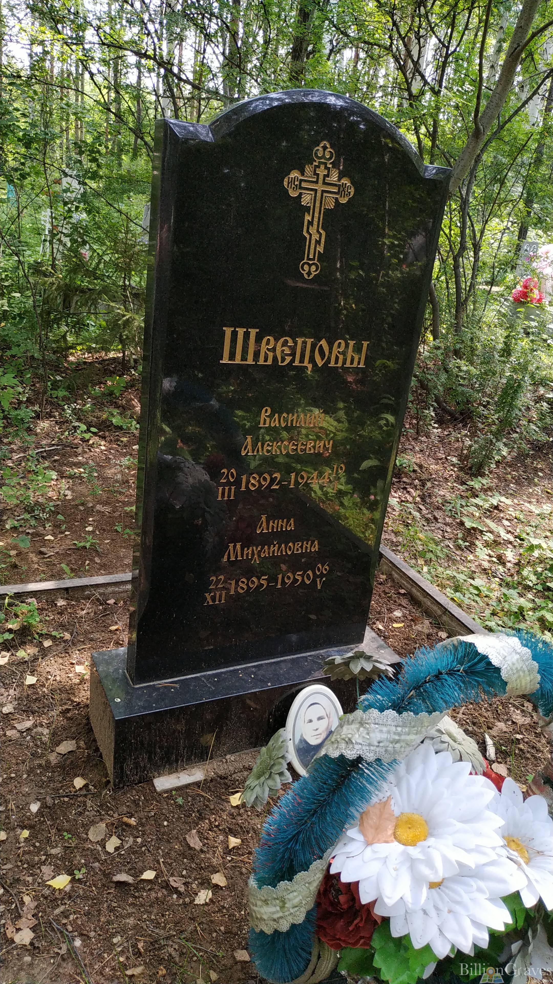 Швецов Василий Алексеевич