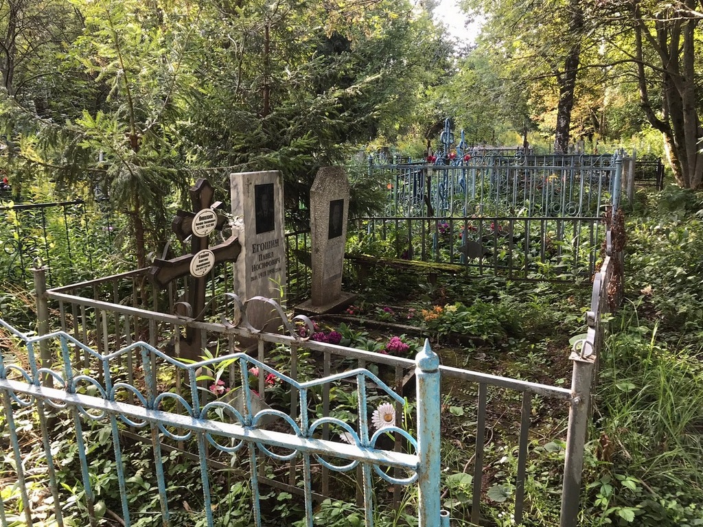 Николаева Мария Александровна