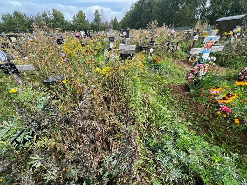 Медяков Александр Валентинович