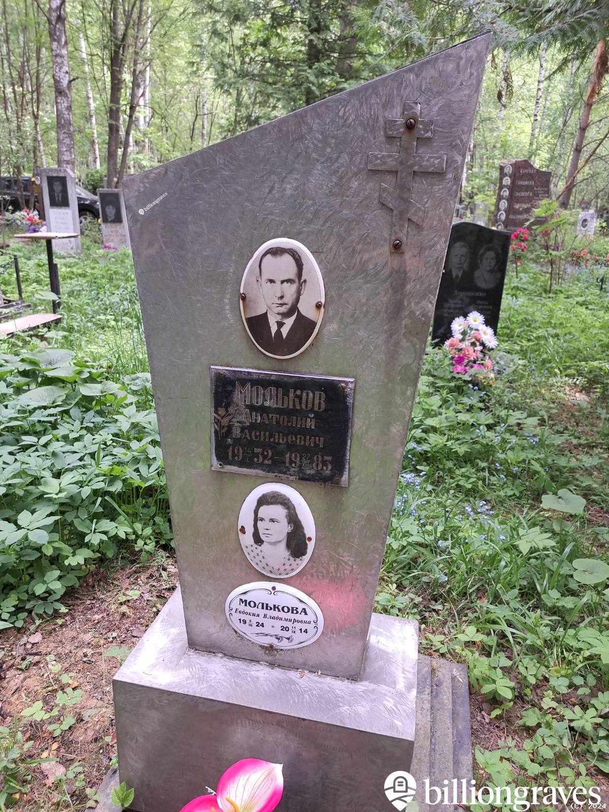 Молькова Евдокия Владимировна