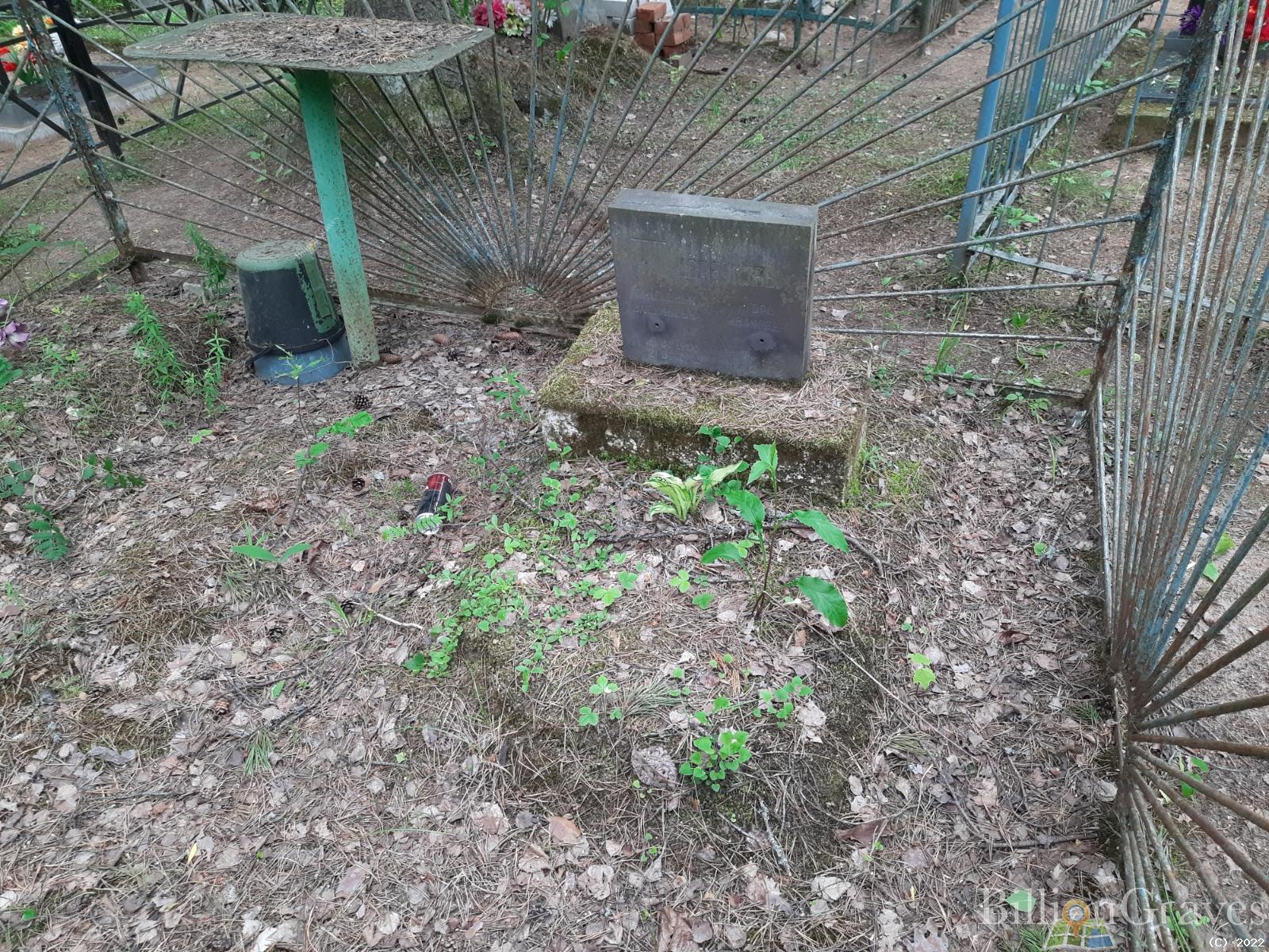 Коренкова Прасковья Васильевна