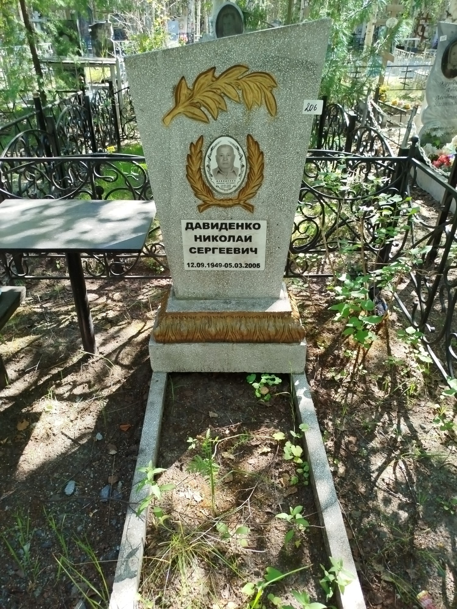 Давиденко Николай Сергеевич