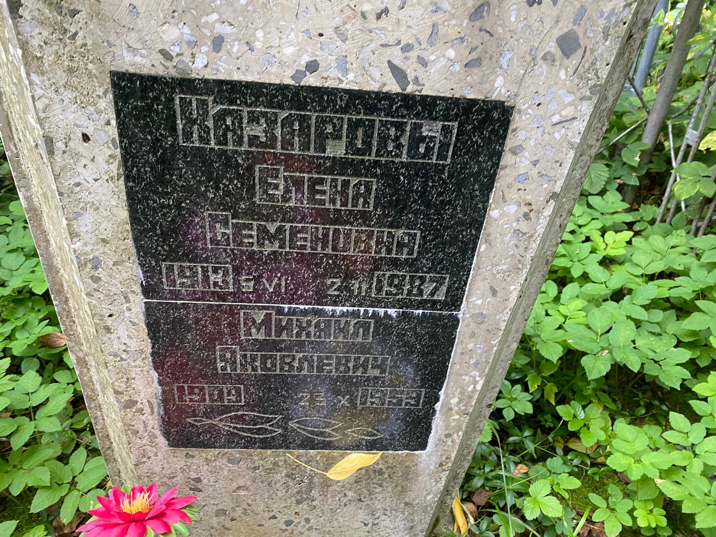 Казарова