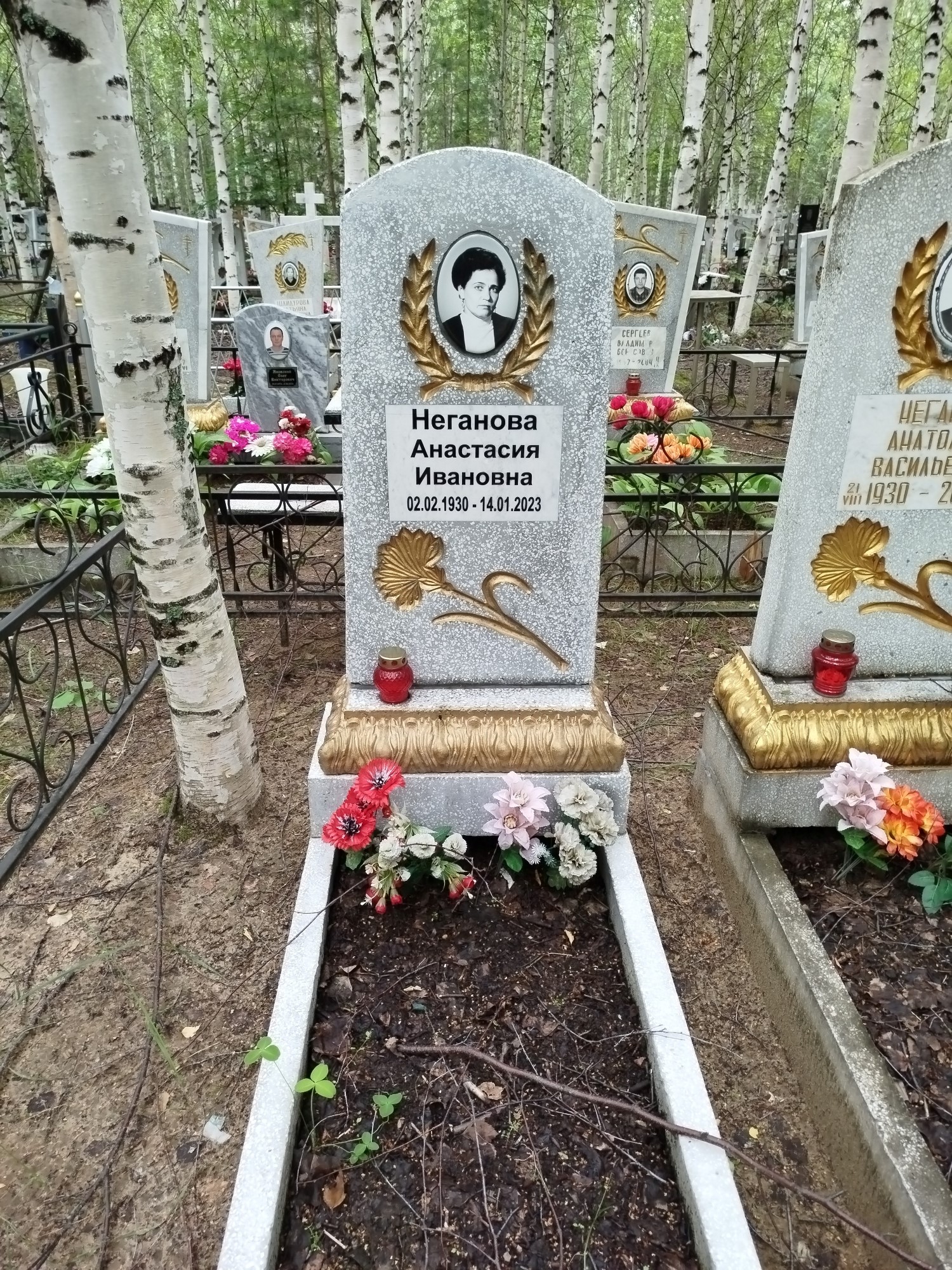 Неганова Анастасия Ивановна