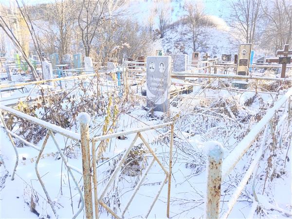 Ляхов Алексей Николаевич