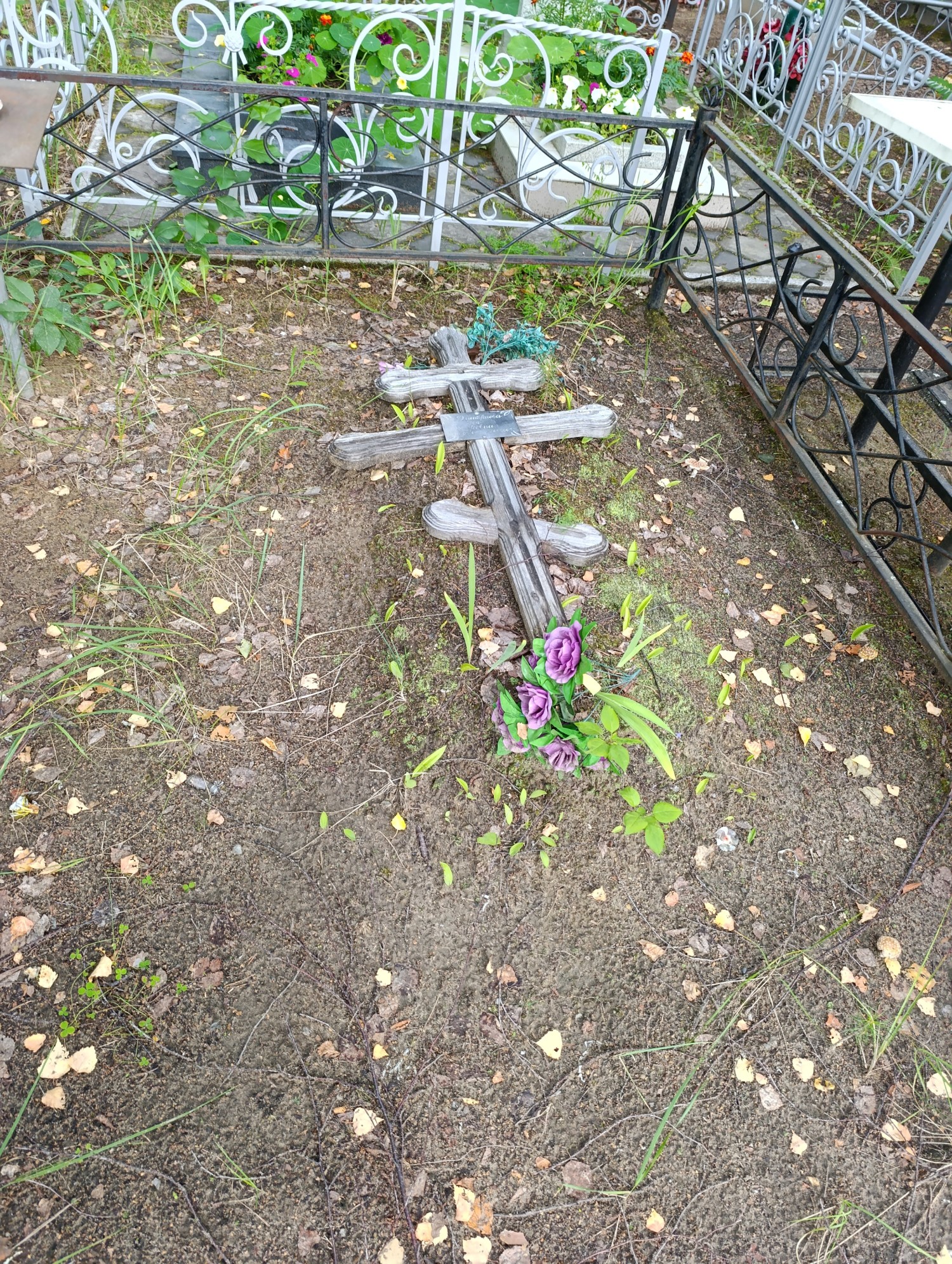 Дмитриева Зоя Егоровна