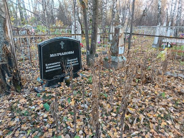 Молчанов Василий Егорович