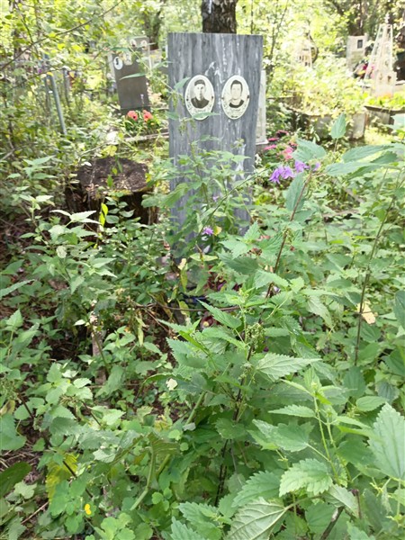 Кузнецов Александр Петрович