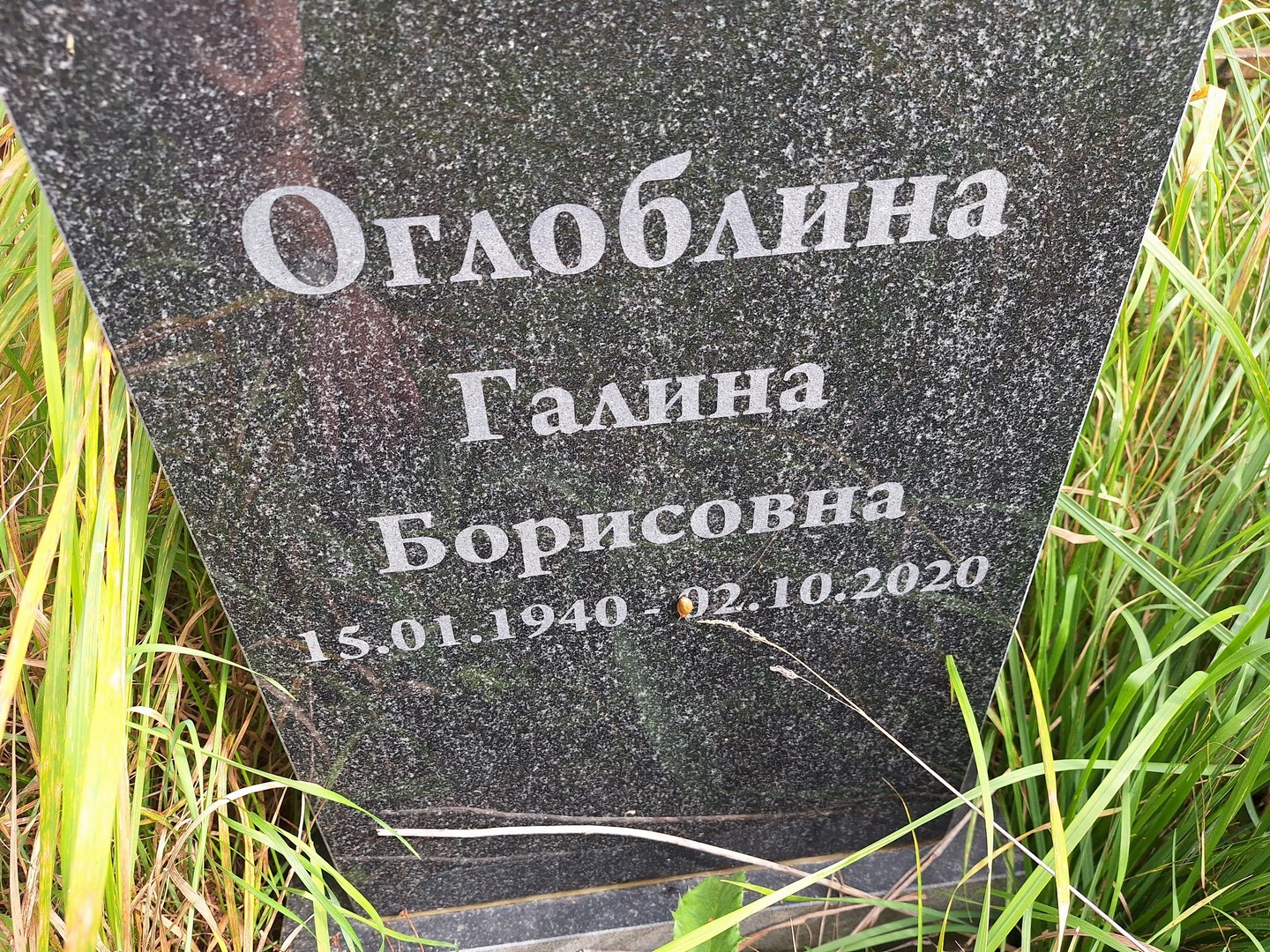 Оглоблина