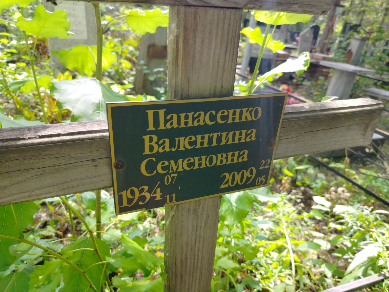Панасенко Валентина Семеновна
