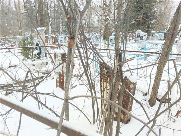 Кравцов Дмитрий Захарович