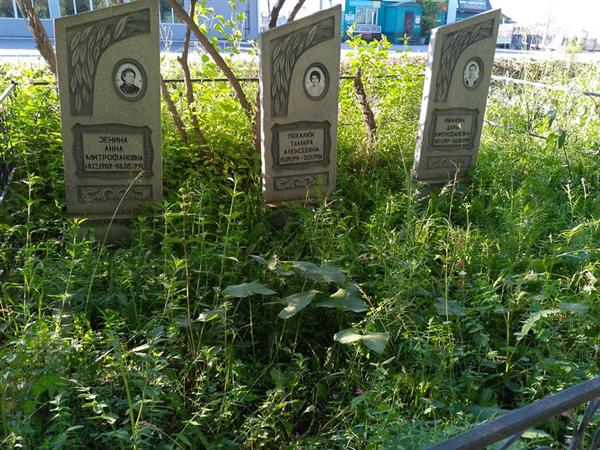 Зенина Анна Митрофановна