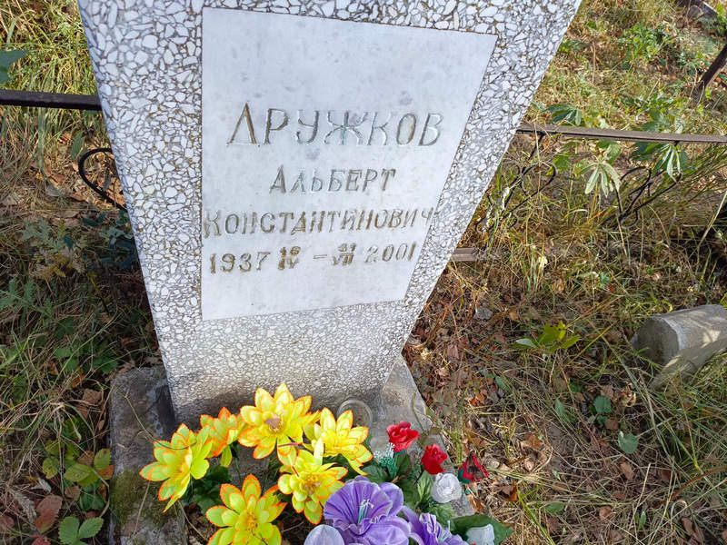 Альберт Дружков Константинович
