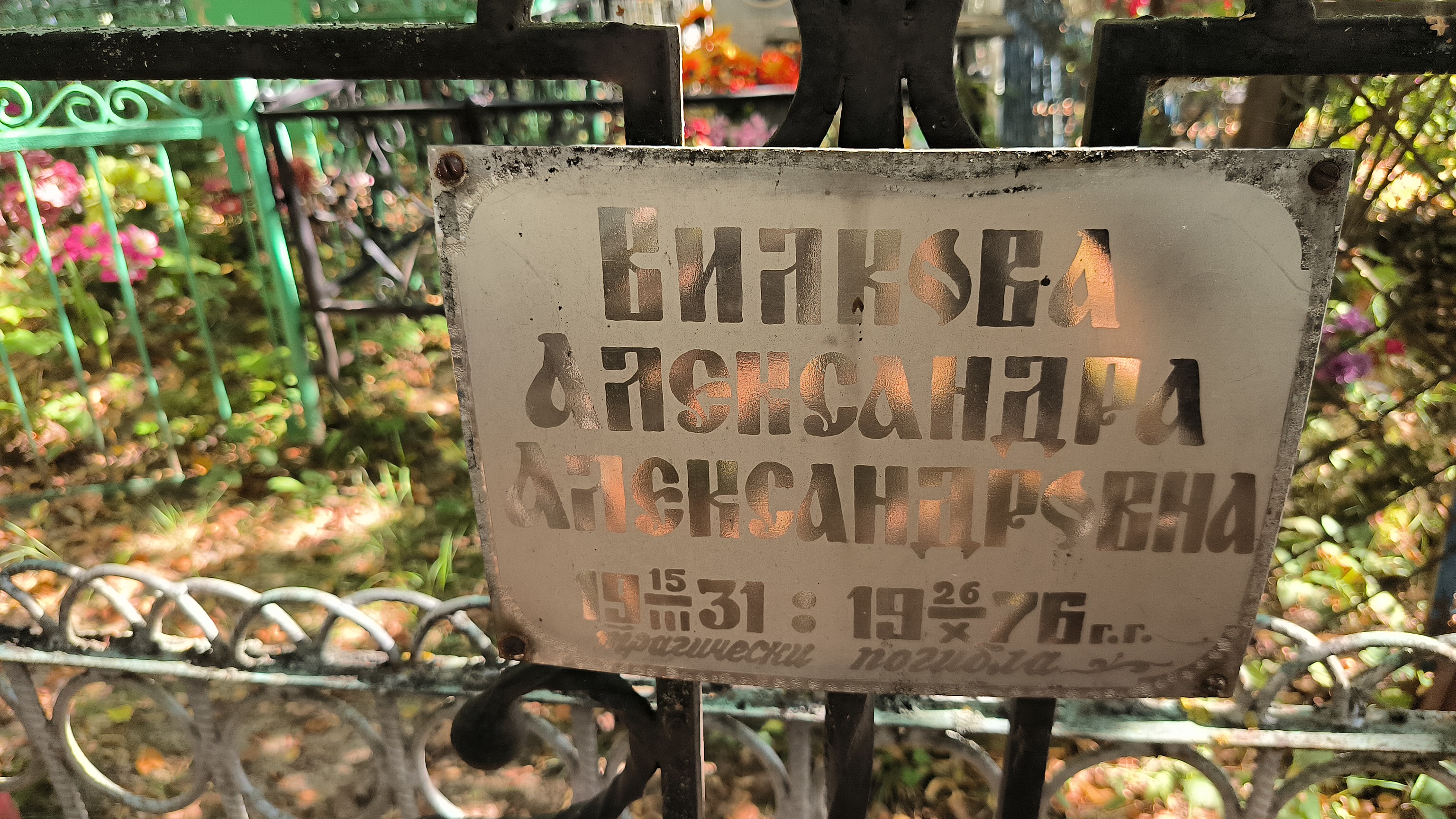Вилкова Александра Александровна
