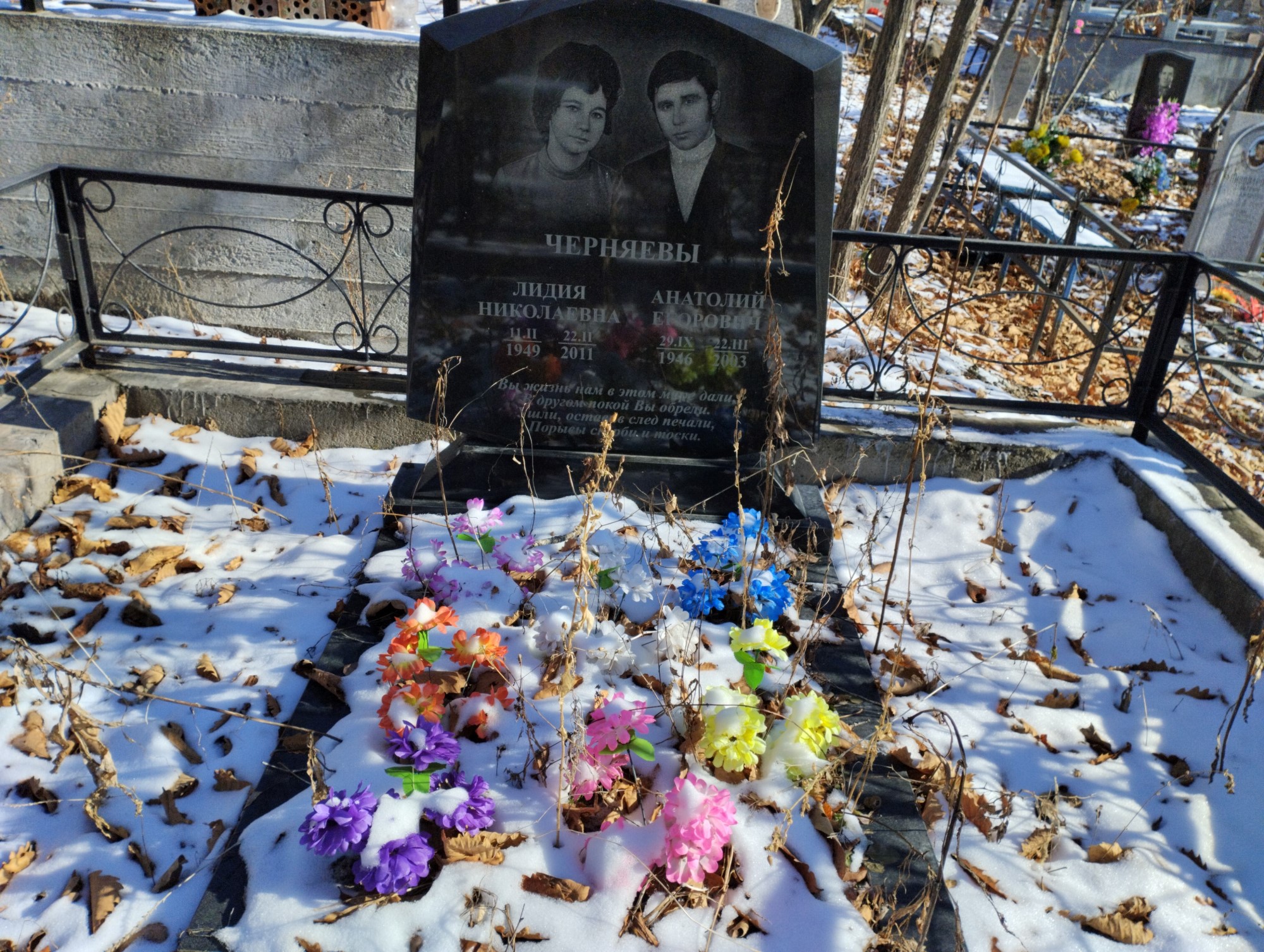 Черняева Лидия Николаевна