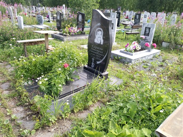 Карасёв Дмитрий Геннадьевич
