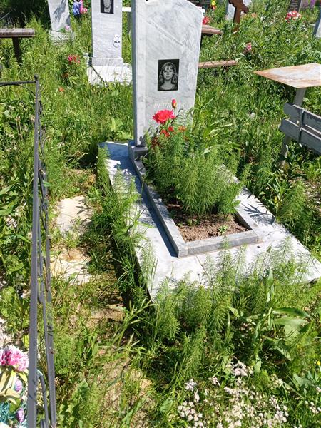 Речкина Светлана Владимировна