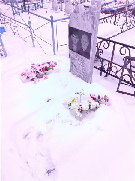 Демина Елизавтеа Яковлевна