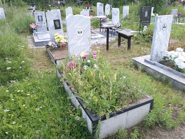 Ушенина Александра Николаевна