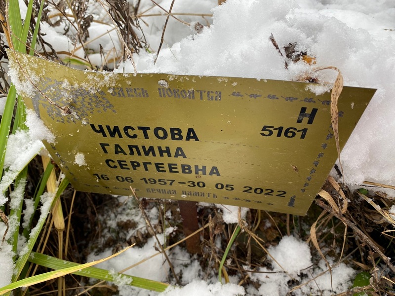 Чистова