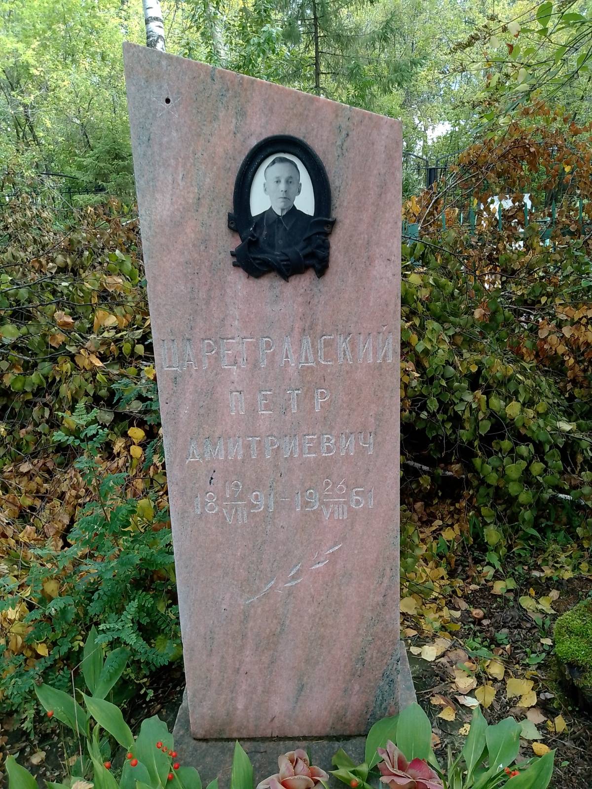 Цареградский Пётр Дмитриевич