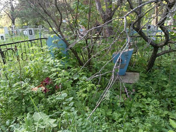 Видилина Ульяна Михайловна