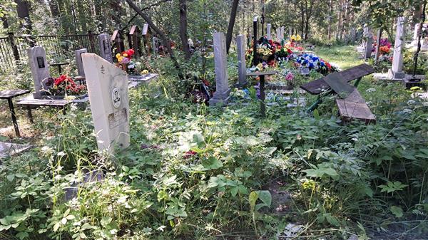 Горлов Юрий Александрович